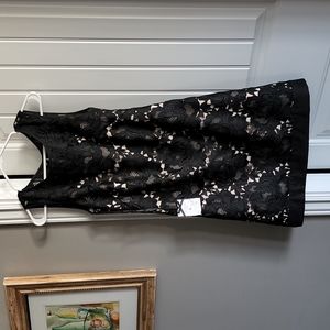 White House Black Market lace lined cocktail dress.